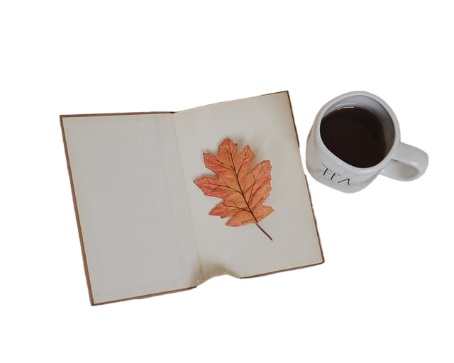 book, leaf, tea