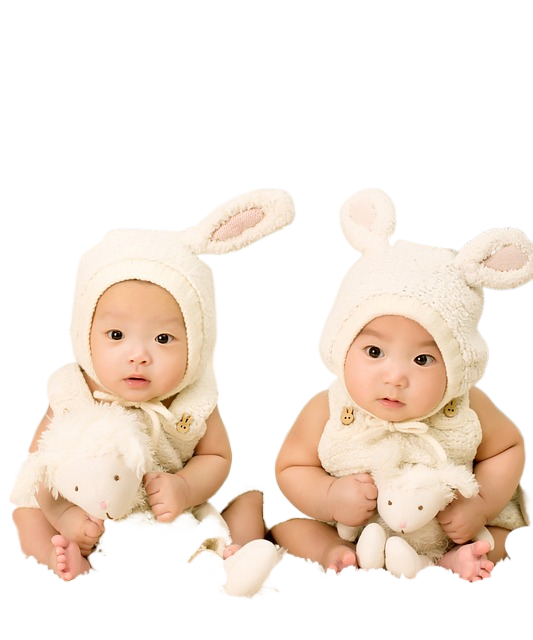 babies, twins, brother 孩子,双胞胎,哥哥