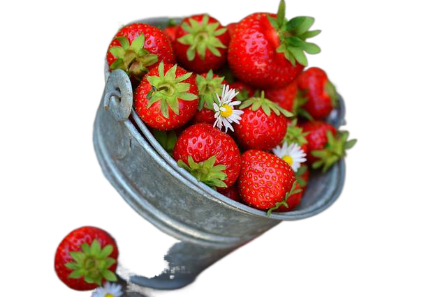 strawberries, fruits, berries 草莓,水果,浆果