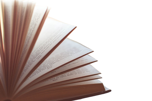 book, pages, chapters