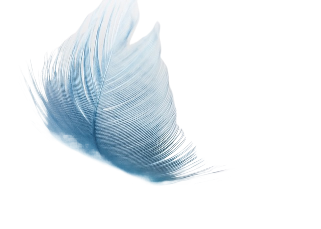 feather, ease, slightly