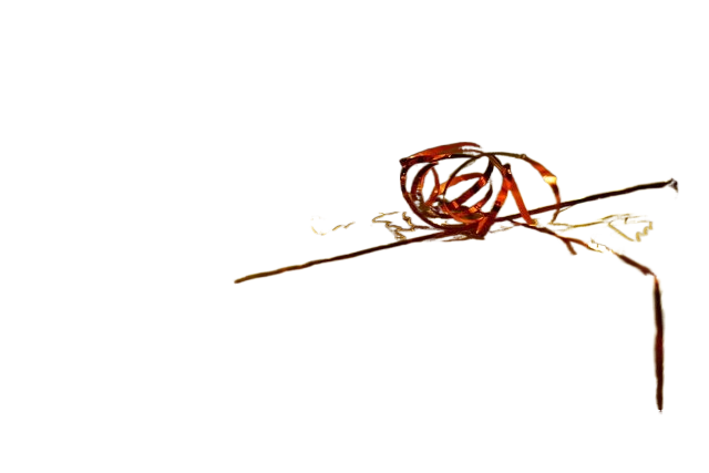 christmas, gift, decoration 圣诞节礼物,装饰