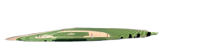 baseball, summer, professional 棒球,夏天,专业