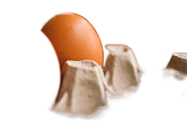 egg, egg holder, reproduction 蛋,蛋架,繁殖