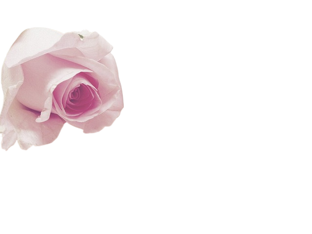 love story, valentine's day, book