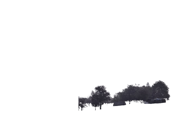 fog, landscape, mountains