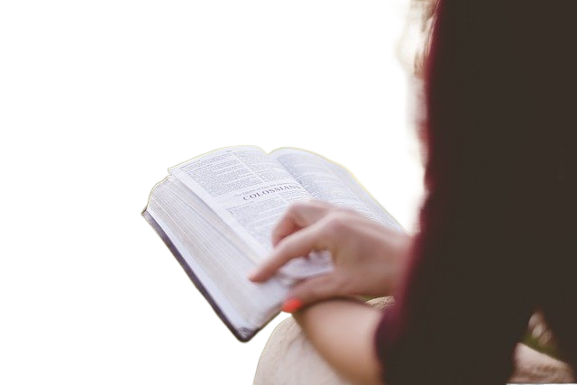 book, college, education 书,大学教育