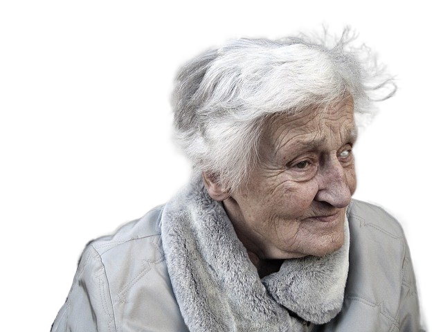 woman, senior, portrait 女人,高级,肖像