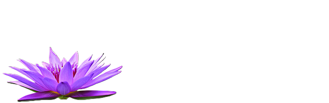 water lily, flower, petals