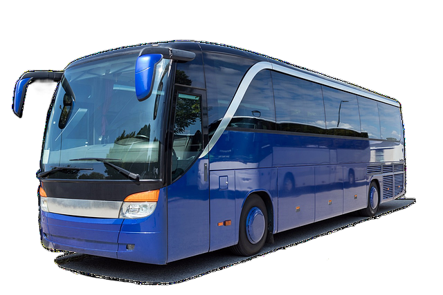 coach, bus, holiday