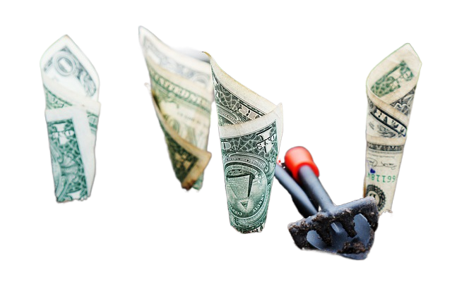 money, grow, interest 钱,成长,利益