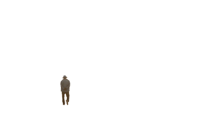 old man, walking, pathway