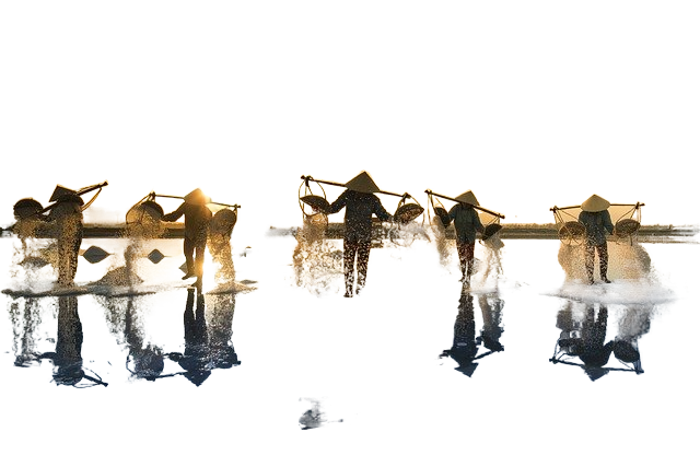 salt harvesting, vietnam, water 盐收获、越南、水