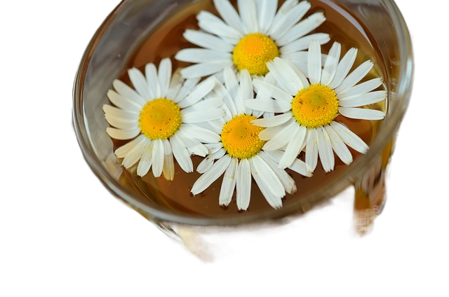 chamomile, tea, drink 洋甘菊、茶、饮料