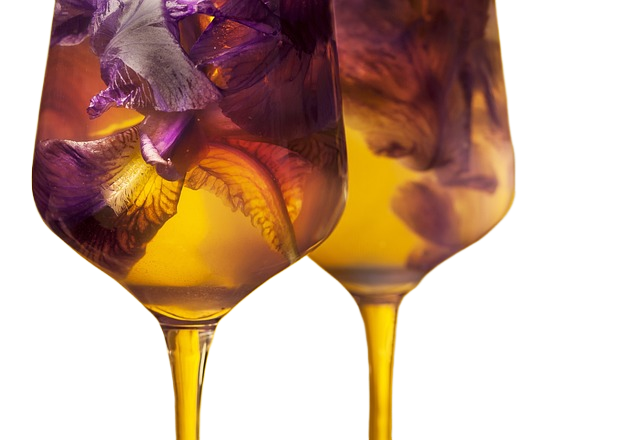 flower, orange, glasses