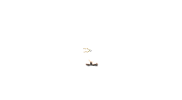sunset, dawn, sun 日落,黎明,太阳