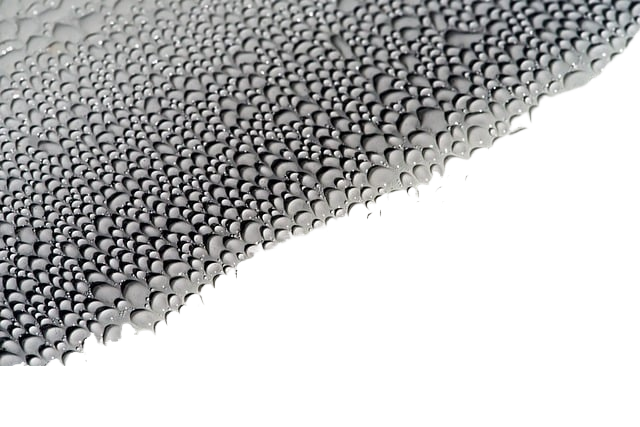 water, droplets, nature