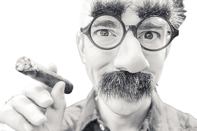 cigar, smoking cigar, cigarette 雪茄,抽雪茄,烟