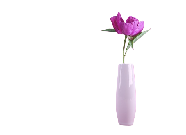 flower, wallpaper hd, vase