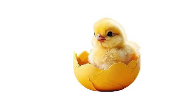 ai generated, chicken, 4k wallpaper 1920x1080