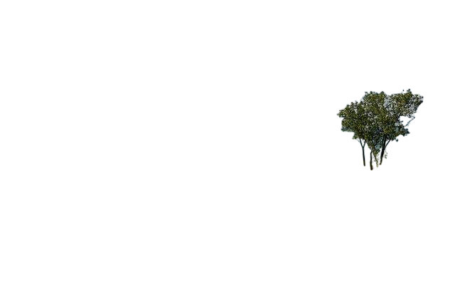 indiana dunes state park, beach, lake michigan 印第安那沙丘国家公园,海滩,密歇根湖