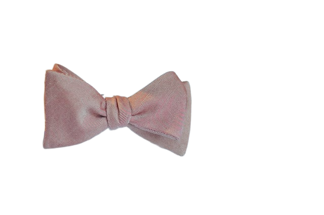 man, bow, tie 人,鞠躬,领带