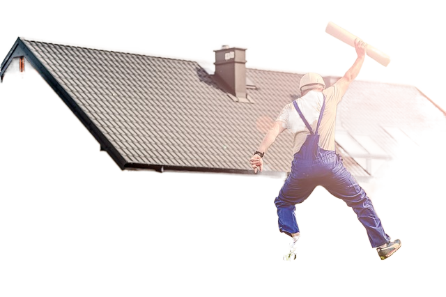 architect, man, jump 师,跳