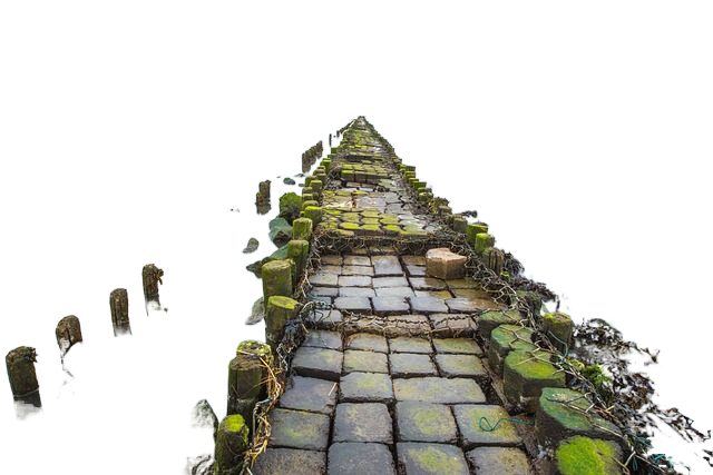 waters, nature, travel 水域,自然,旅游