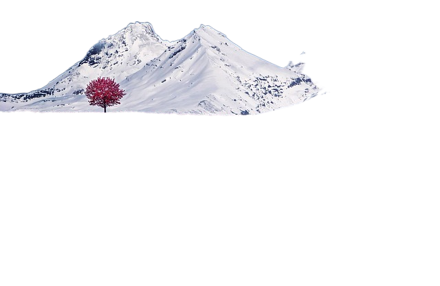 mountains, alps, meadow 山脉、阿尔卑斯山脉、草原