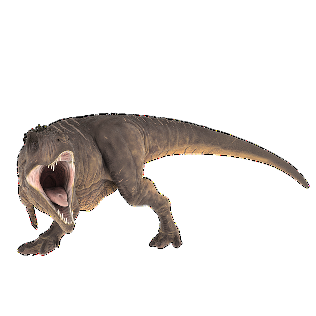 t-rex, prehistoric, jurassic 霸王龙、史前侏罗纪