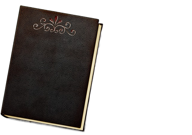 a book, embossing, leather 一本书,压花,皮革