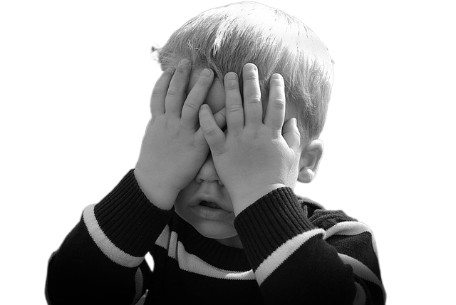boy, portrait, child 男孩,肖像,孩子