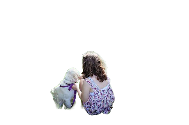 child, dog, pet 孩子,狗,宠物