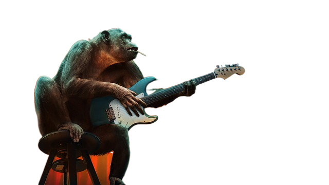 monkey, music, concert 猴子,音乐,音乐会