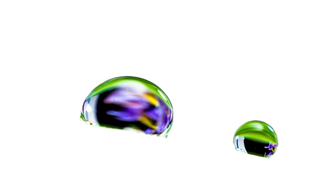 drop of water, drip, leaf