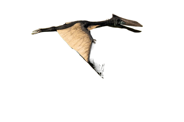 dinosaur, gad, mammal 恐龙,迦得,哺乳动物