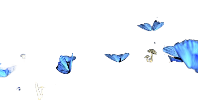 wood texture, fantasy, butterflies 木材纹理、幻想、蝴蝶