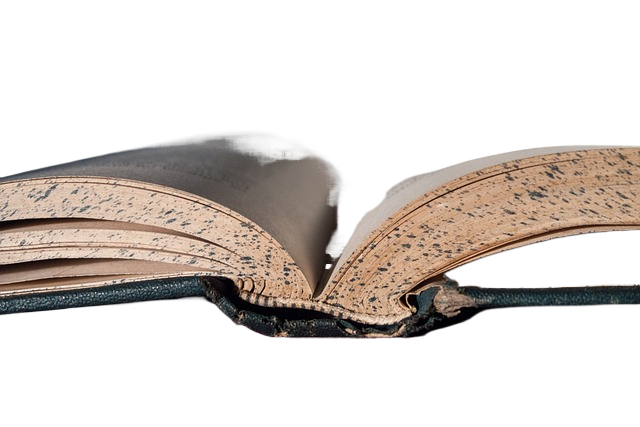 book, reading, literature