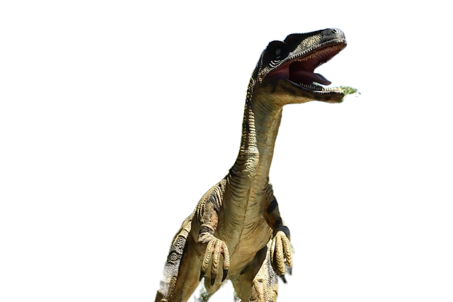 dinosaur, raptor, velociraptor dinosaur, raptor, velociraptor
