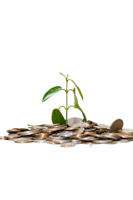 money, coins, finance