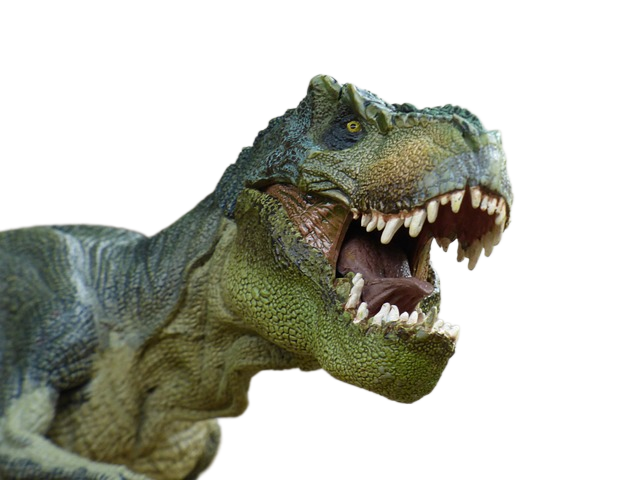 tyrannosaurus, dinosaur, prehistory 恐龙,暴龙史前史