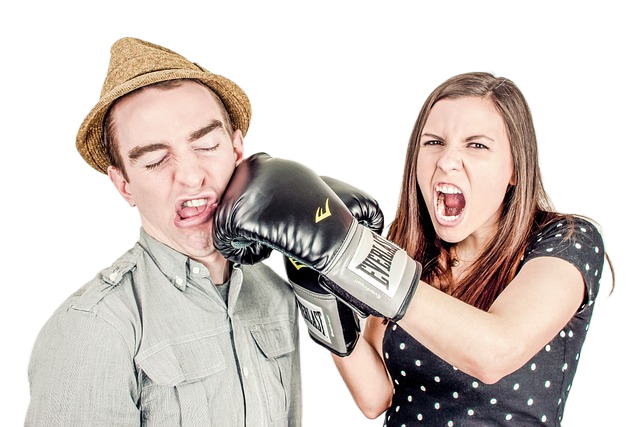 argument, conflict, controversy 争论,冲突,争议