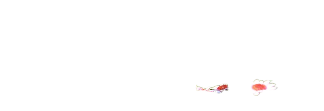 marguerite, flowers, field 玛格丽特,鲜花,字段