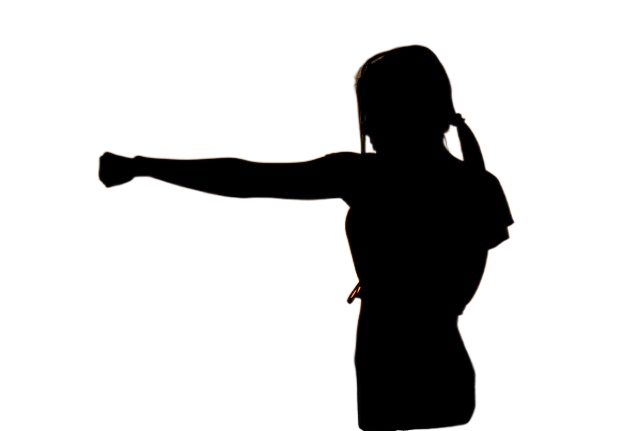 karate, sunset, fight 空手道,日落,战斗