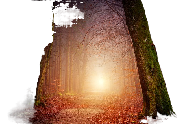 beautiful nature, nature background, nature wallpaper 美丽的大自然,自然背景,自然壁纸
