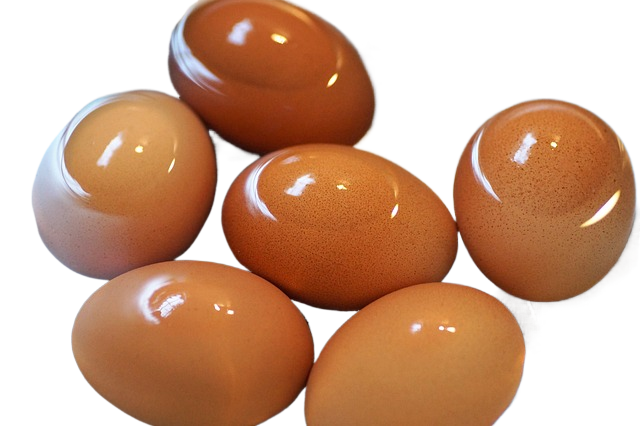 egg, brewed, on
