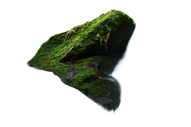 cascade, moss, nature