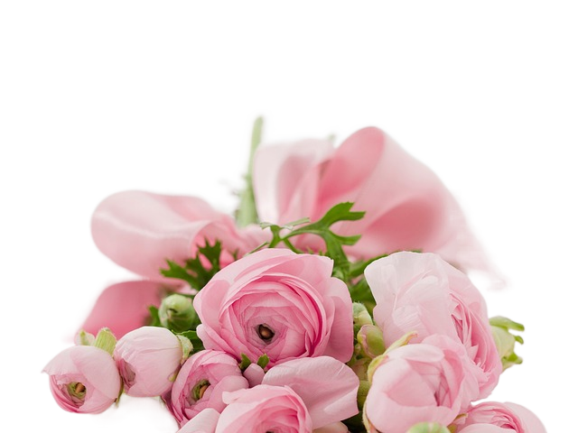 bouquet, flower background, beautiful flowers 花束,花背景,美丽的花朵