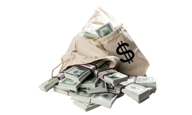 moneybag, money, dollars
