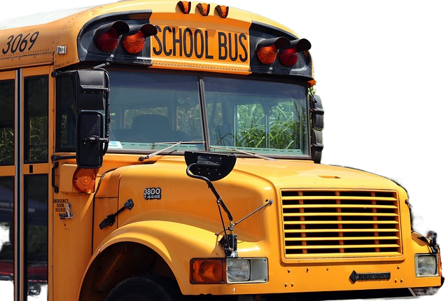 school bus, school, bus 校车,学校,公共汽车